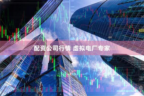 配资公司行情 虚拟电厂专家